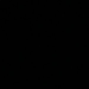 Meet your Posher, Karina